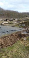 Imker unter Strom